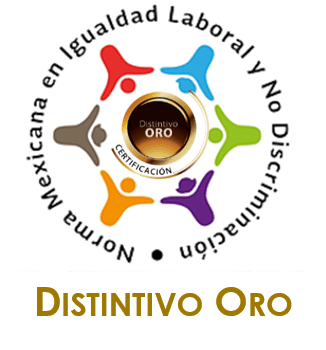 modelo-de-equidad-de-genero